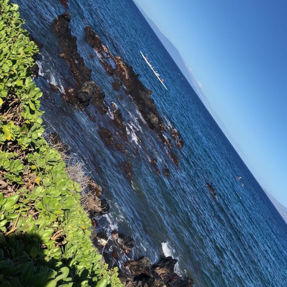 Save the ocean! PLEASE READ DESCRIPTION!!